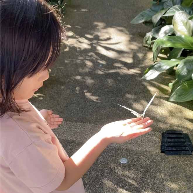 Hikari’s Entopia Adventure: A Day in Penang