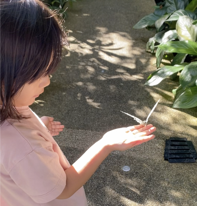 Hikari’s Entopia Adventure: A Day in Penang